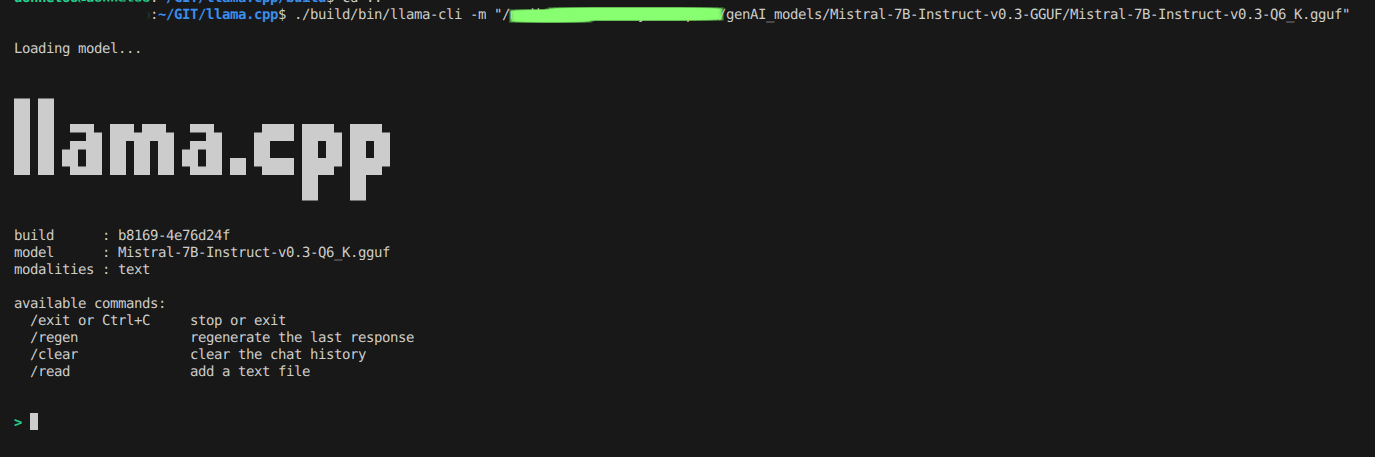 Llama Inference Example